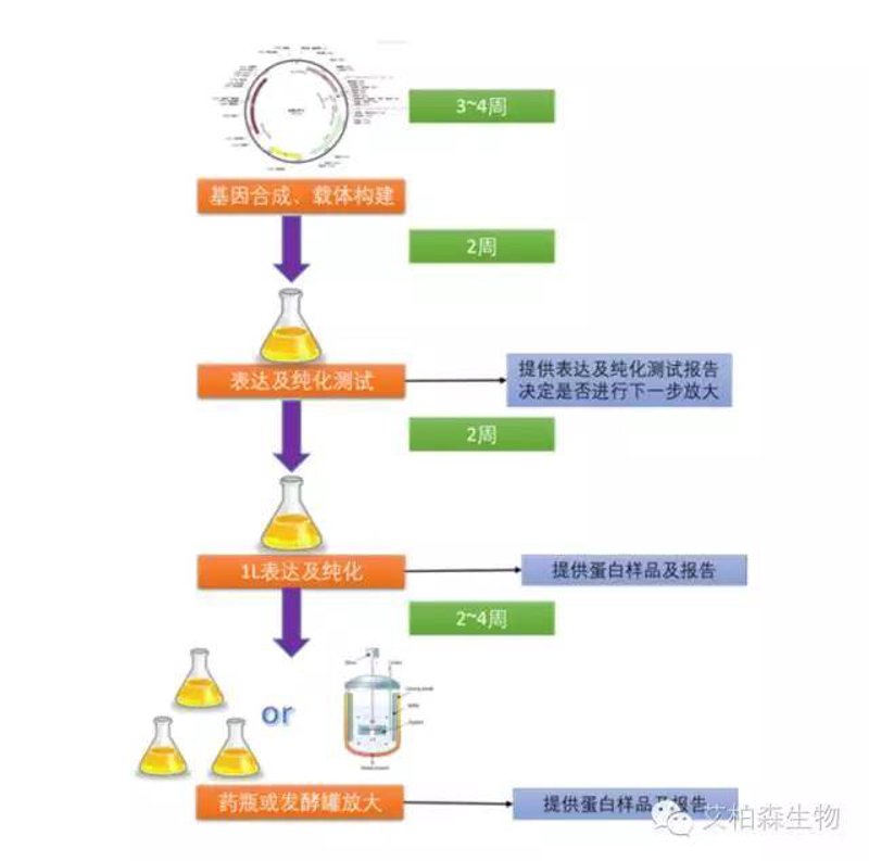 检验检疫技术中心：解读未来发展方向